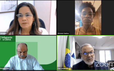 Mineração no Brasil: refletindo sobre preservação ambiental e segurança