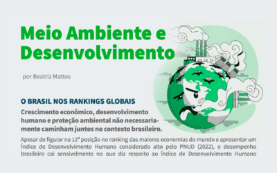 Infográfico “Meio ambiente e Desenvolvimento”