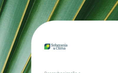 Descarbonização e Sustentabilidade no Setor de Defesa: eficiência energética e novas capacidades de defesa