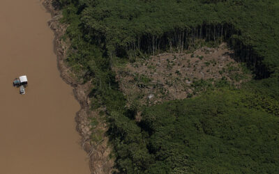 Especialistas discutem estratégias contra o crime e a importância da governança integrada na Amazônia