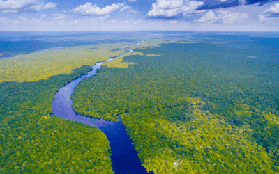 Escola Soberania e Clima abre inscrições para curso que conecta clima e segurança às vésperas da COP30
