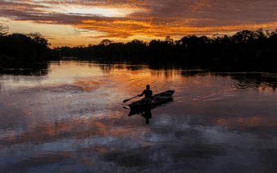 Webinar discute desenvolvimento sustentável e segurança pública na Amazônia 